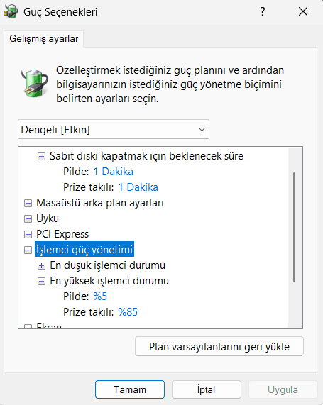 Windows Güç Seçenekleri