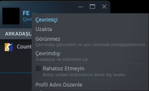 Steam çevrimdışı olma ayarı